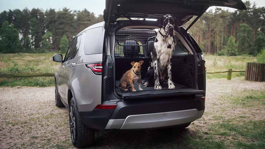 Land Rover ra mắt gói phụ kiện dành riêng cho thú cưng 3