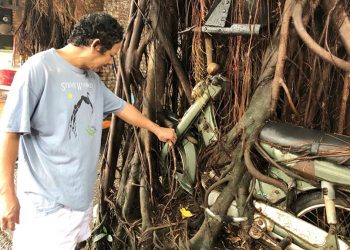 “Độc lạ” chiếc xe máy Yamaha đời 1965 bị rễ cây bao trùm kín có giá 100 triệu đồng