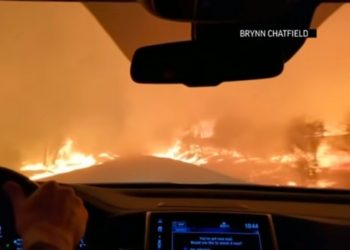 Cô gái bang California dũng cảm lái ôtô băng đám cháy rừng cứu gia đình