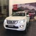 SUV 7 chỗ Nissan Terra 1
