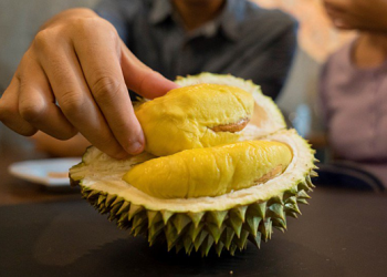 Suýt bị CSGT phạt khi đo thấy...nồng độ cồn cao vì sau khi ăn sầu riêng - 1