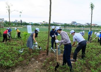 Toyota Việt Nam phát động chương trình “Toyota chung tay xanh hóa học đường” năm 2021