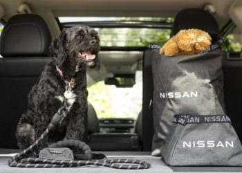 Nissan Dog Pack