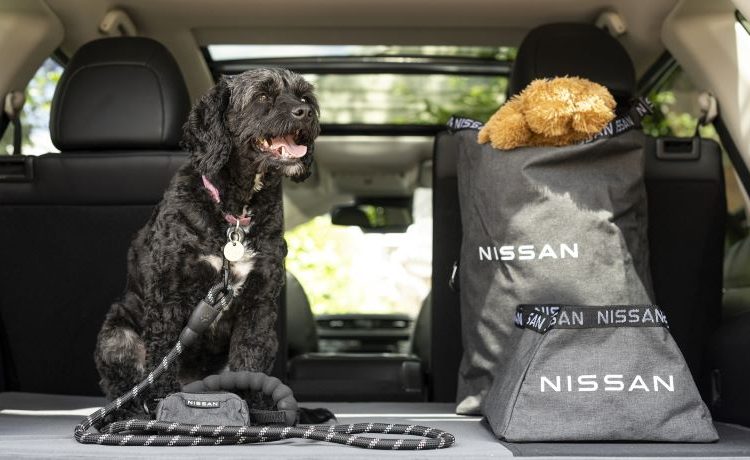 Nissan Dog Pack