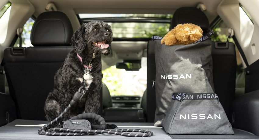Nissan Dog Pack
