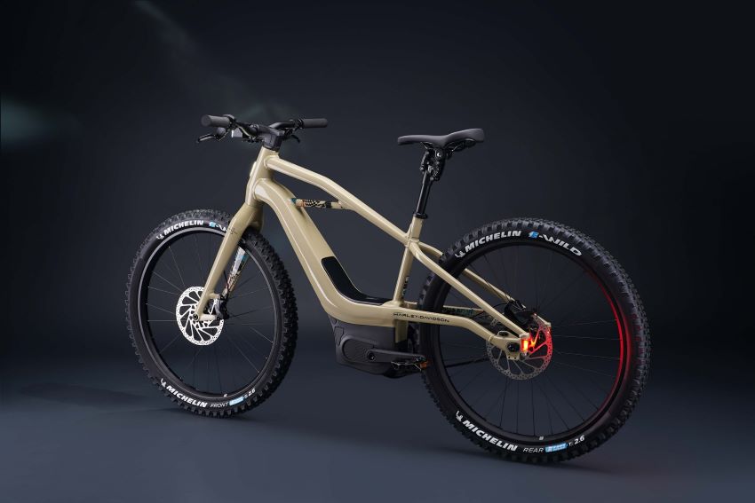 xe đạp điện Serial 1 mới