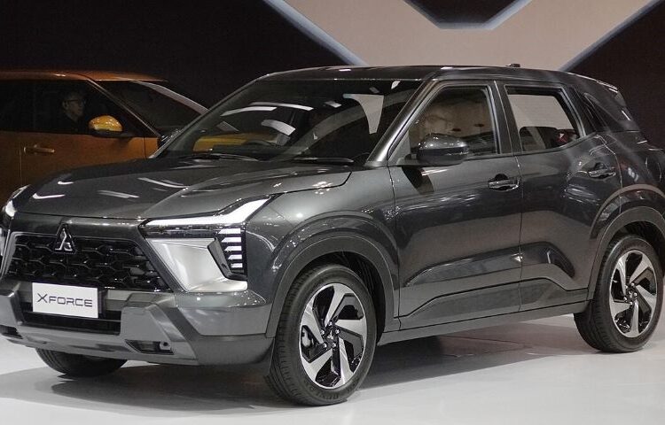 Báo cáo VAMA tháng 8/2024: Ảnh hưởng tháng Ngâu, thị trường quay đầu giảm