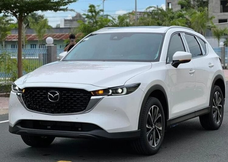 Thị trường ô tô Việt Nam tháng 2/2026 giảm mạnh