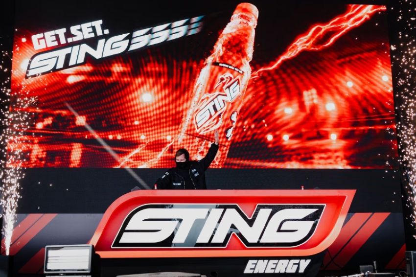 Sting Alan Walker