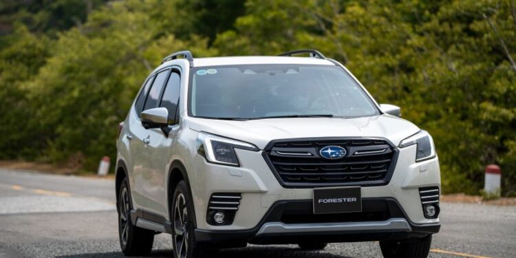 Triệu hồi Forester 2026